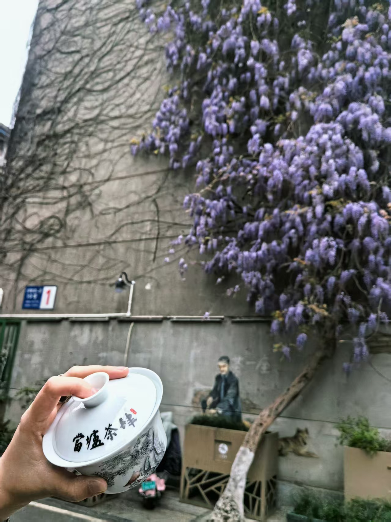 Holding a gaiwan under a wall of wisteria